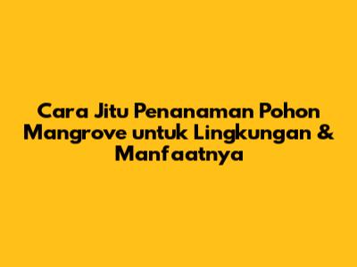 **Cara Jitu Penanaman Pohon Mangrove untuk Lingkungan & Manfaatnya**