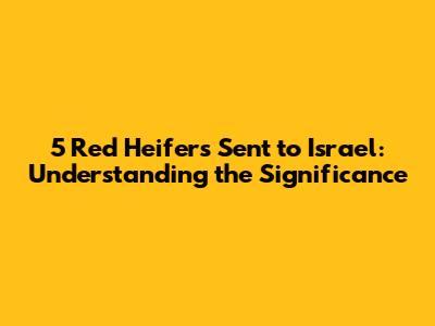 5 Red Heifers Sent to Israel: Understanding the Significance