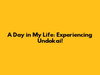 A Day in My Life: Experiencing Undokai!