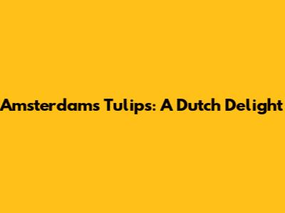 Amsterdam's Tulips: A Dutch Delight