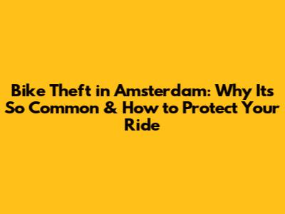 Bike Theft in Amsterdam: Why It's So Common & How to Protect Your Ride