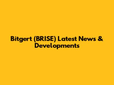 Bitgert (BRISE) Latest News & Developments