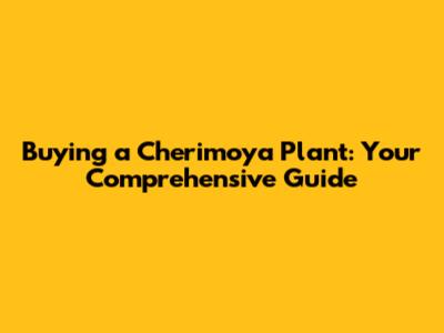 Buying a Cherimoya Plant: Your Comprehensive Guide