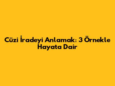 Cüzi İradeyi Anlamak: 3 Örnekle Hayata Dair