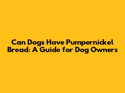 Can Dogs Have Pumpernickel Bread: A Guide for Dog Owners