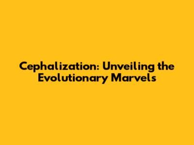 Cephalization: Unveiling the Evolutionary Marvels
