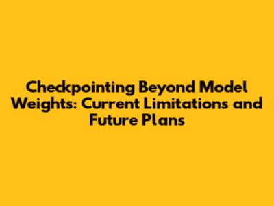 Checkpointing Beyond Model Weights: Current Limitations and Future Plans