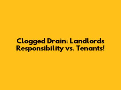 Clogged Drain: Landlord's Responsibility vs. Tenant's!