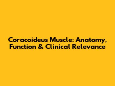 Coracoideus Muscle: Anatomy, Function & Clinical Relevance