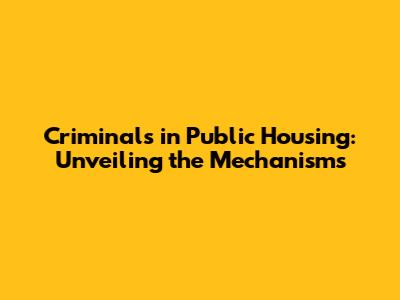 Criminals in Public Housing: Unveiling the Mechanisms