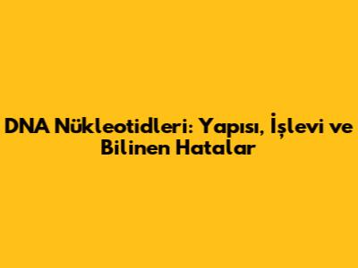 DNA Nükleotidleri: Yapısı, İşlevi ve Bilinen Hatalar