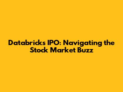 Databricks IPO: Navigating the Stock Market Buzz