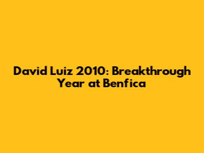 David Luiz 2010: Breakthrough Year at Benfica