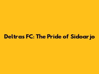 Deltras FC: The Pride of Sidoarjo