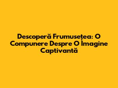 Descoperă Frumusețea: O Compunere Despre O Imagine Captivantă