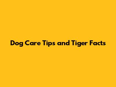 Dog Care Tips and Tiger Facts