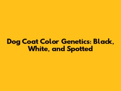 Dog Coat Color Genetics: Black, White, and Spotted