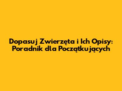 Dopasuj Zwierzęta i Ich Opisy: Poradnik dla Początkujących