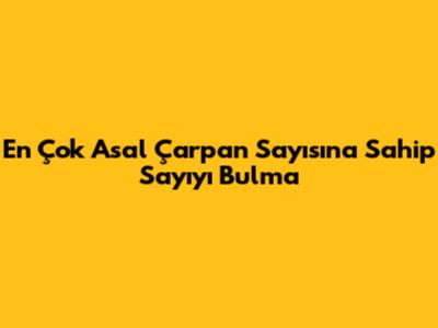 En Çok Asal Çarpan Sayısına Sahip Sayıyı Bulma