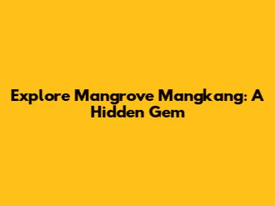 Explore Mangrove Mangkang: A Hidden Gem