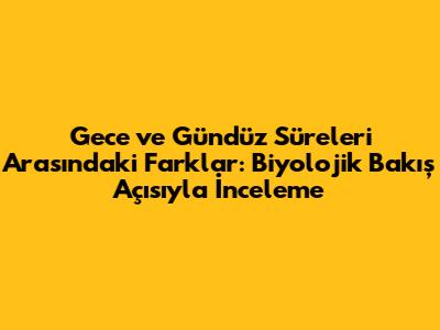 Gece ve Gündüz Süreleri Arasındaki Farklar: Biyolojik Bakış Açısıyla İnceleme