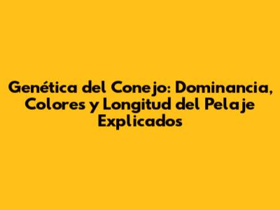 Genética del Conejo: Dominancia, Colores y Longitud del Pelaje Explicados