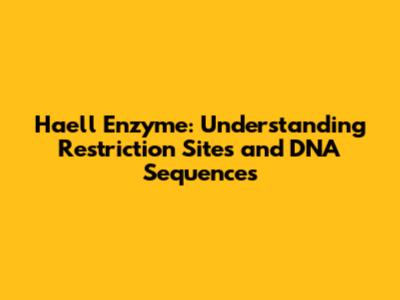 Haell Enzyme: Understanding Restriction Sites and DNA Sequences