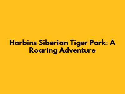 Harbin's Siberian Tiger Park: A Roaring Adventure
