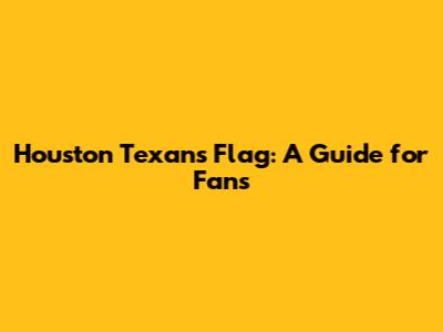 Houston Texans Flag: A Guide for Fans