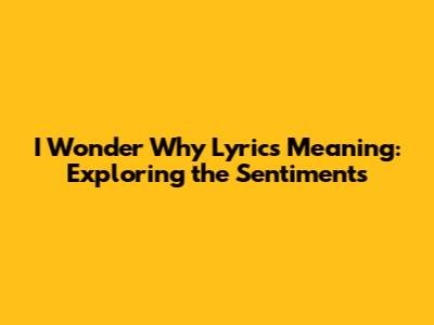 I Wonder Why Lyrics Meaning: Exploring the Sentiments