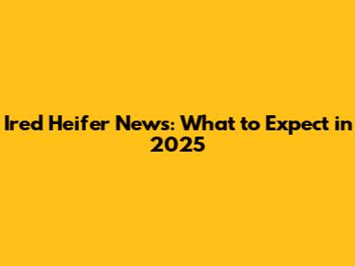 Ired Heifer News: What to Expect in 2025