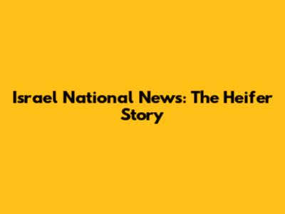 Israel National News: The Heifer Story