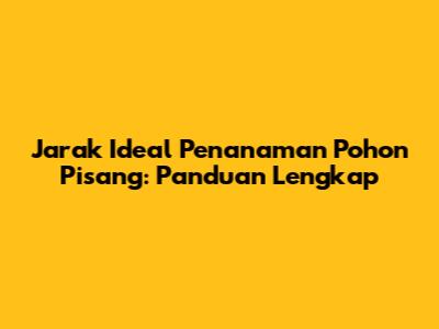 Jarak Ideal Penanaman Pohon Pisang: Panduan Lengkap