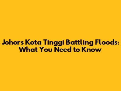 Johor's Kota Tinggi Battling Floods: What You Need to Know