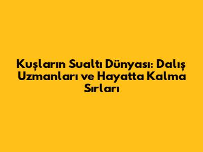 Kuşların Sualtı Dünyası: Dalış Uzmanları ve Hayatta Kalma Sırları