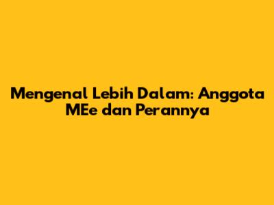 Mengenal Lebih Dalam: Anggota MEe dan Perannya