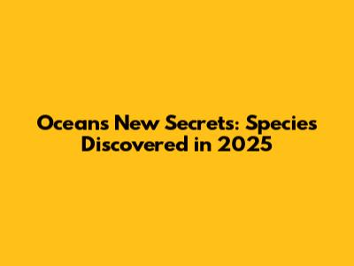 Ocean's New Secrets: Species Discovered in 2025