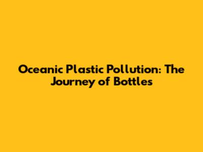 Oceanic Plastic Pollution: The Journey of Bottles