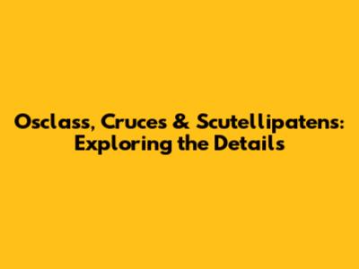 Osclass, Cruces & Scutellipatens: Exploring the Details