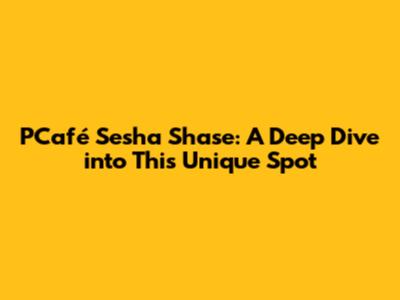 PCafé Sesha Shase: A Deep Dive into This Unique Spot