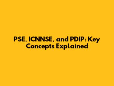 PSE, ICNNSE, and PDIP: Key Concepts Explained
