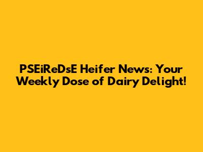PSEiReDsE Heifer News: Your Weekly Dose of Dairy Delight!