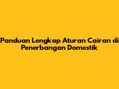 Panduan Lengkap Aturan Cairan di Penerbangan Domestik