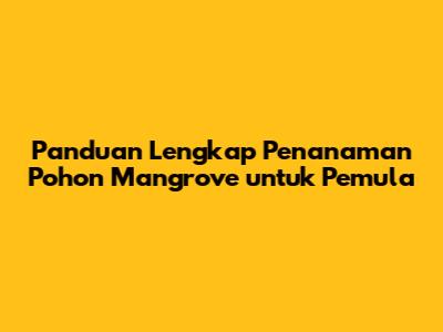 Panduan Lengkap Penanaman Pohon Mangrove untuk Pemula