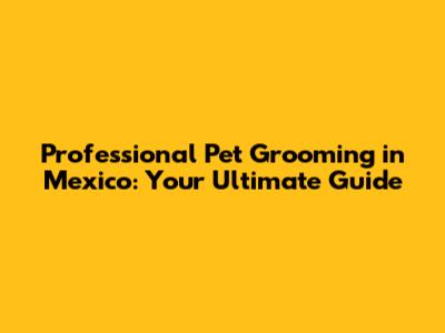 Professional Pet Grooming in Mexico: Your Ultimate Guide