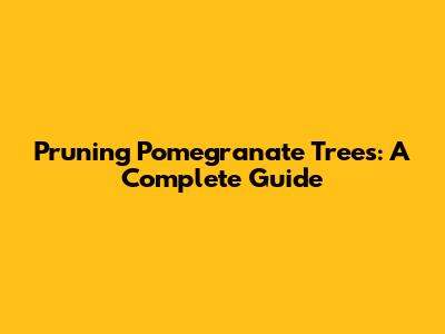 Pruning Pomegranate Trees: A Complete Guide
