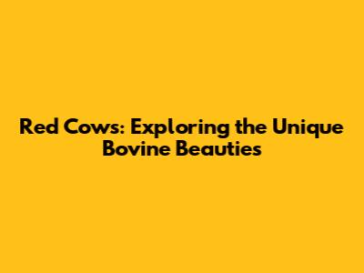 Red Cows: Exploring the Unique Bovine Beauties