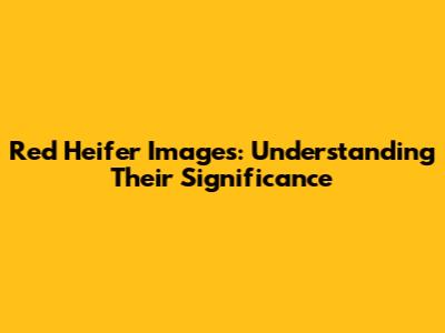 Red Heifer Images: Understanding Their Significance