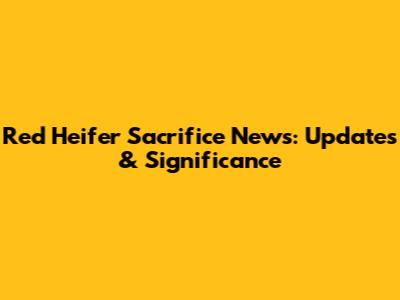 Red Heifer Sacrifice News: Updates & Significance