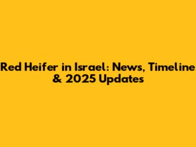 Red Heifer in Israel: News, Timeline & 2025 Updates